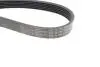 Фото Ремінь генератора Hyundai Santa Fe/Kia Sorento 2.0-2.2CRDi 09-(6PK2498) HUTCHINSON (2498 K 6) зображення 3