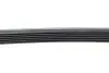 Фото Ремінь генератора Audi A6 4.2 98-05/A8 3.7/4.2 98-02 (6PK2648) HUTCHINSON (2648 K 6) зображення 4