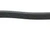 Фото Ремінь генератора Land Rover Defender 2.2Td4 11-16/Nissan Navara/Pathfinder 3.0dCi 10- (7PK2670) HUTCHINSON (2670 K 7) зображення 2