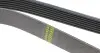 Фото Ремінь генератора Ford Transit 2.4TDCi/3.2TDCi 06- (7PK2682) HUTCHINSON (2682K7) зображення 3