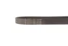 Ремінь генератора Citroen Jumper 2.5TD/2.0 94-02 HUTCHINSON (698K6) зображення 4