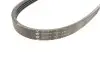 Фото Ремінь генератора Renault Logan/Sandero 1.4-1.6 07-/Chevrolet Matiz 1.0 05-/Kalos/Aveo 1.2 04 HUTCHINSON (715K4) зображення 2