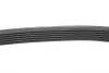 Фото Ремінь генератора VW Caddy III 1.4i/Roomster/Polo 1.4, 03 HUTCHINSON (736K6) зображення 2