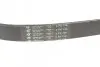 Фото Ремінь генератора VW Caddy III 1.4i/Roomster/Polo 1.4, 03 HUTCHINSON (736K6) зображення 4
