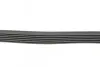 Фото Ремінь генератора VW Caddy III/Golf VI/VII 1.4 TSI 04 HUTCHINSON (740 K 6) зображення 2