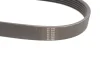 Фото Ремінь генератора Citroen C4/Peugeot 307 1.6HDi 04- (6PK780) HUTCHINSON (780K6) зображення 2