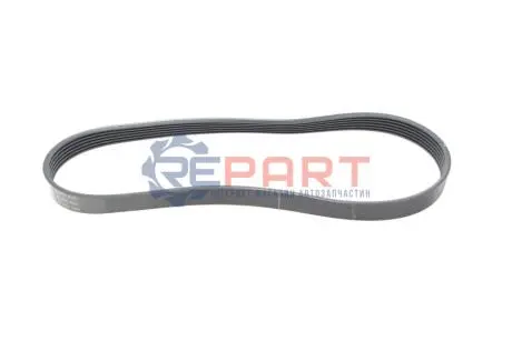 Ремінь генератора Citroen Berlingo/Peugeot Partner 1.6HDI (6PK800) HUTCHINSON 800 K 6 Купити в Україні