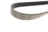 Фото Ремінь генератора BMW 3 (E46)/X5 (E53)/5 (E39) 2.5D/3.0D 98-06 (5PK810) HUTCHINSON (810 K 5) зображення 3