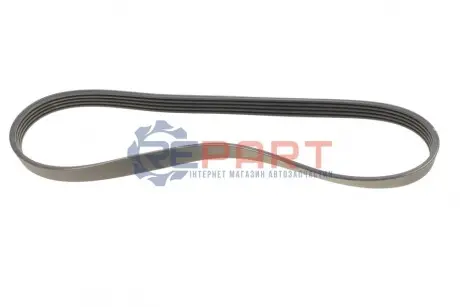 Ремінь генератора BMW 3 (E46)/X5 (E53)/5 (E39) 2.5D/3.0D 98-06 (5PK810) HUTCHINSON 810 K 5 Купити в Україні