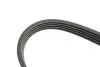Фото Ремінь генератора BMW 3 (E46)/X5 (E53)/5 (E39) 2.5D/3.0D 98-06 (5PK810) HUTCHINSON (810 K 5) зображення 5