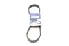 Фото Ремінь генератора Fiat Punto/Stilo 1.9 JTD 99-06 (6PK813) HUTCHINSON (813K6) зображення 1
