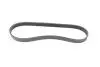 Фото Ремінь генератора Fiat Punto/Stilo 1.9 JTD 99-06 (6PK813) HUTCHINSON (813K6) зображення 5