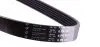 Фото Ремінь генератора Opel Movano 2.8DTI 98-01/VW Crafter 30-35 2.0TDI 11- (6PK841) HUTCHINSON (841K6) зображення 3