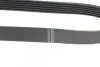 Фото Ремінь генератора VW Golf VI/Caddy III 1.6-2.0 TDI 10- ALT, (-AC) HUTCHINSON (842SK6) зображення 3