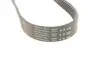 Фото Ремінь генератора Citroen Berlingo/Fiat Ducato 1.8/1.9D /Citroen Jumper 3.0HDI 96- (6PK1160) HUTCHINSON (848SK6) зображення 2