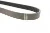 Фото Ремінь генератора Citroen Berlingo/Fiat Ducato 1.8/1.9D /Citroen Jumper 3.0HDI 96- (6PK1160) HUTCHINSON (848SK6) зображення 3