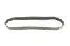 Фото Ремінь генератора Citroen Berlingo/Fiat Ducato 1.8/1.9D /Citroen Jumper 3.0HDI 96- (6PK1160) HUTCHINSON (848SK6) зображення 5