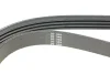 Ремінь генератора BMW X5 (E70)/X6 (E71/E72) 07-13 HUTCHINSON (867SK4) зображення 3
