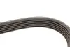 Фото Ремінь генератора Citroen Jumper/Peugeot Boxer 2.0/2.2HDi 04- (-AC)/Opel Movano 2.5D (6PK873) HUTCHINSON (873SK6) зображення 4