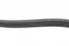 Фото Ремінь (поліклиновий) HUTCHINSON (885 K 5) изображение 2