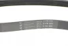 Фото Ремінь (поліклиновий) HUTCHINSON (885 K 5) изображение 4