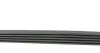 Фото Ремінь генератора BMW 3/5 90-00 / Ford Focus 2.5 05-12 HUTCHINSON (890 K 5) зображення 2