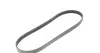 Фото Ремінь генератора BMW 3/5 90-00 / Ford Focus 2.5 05-12 HUTCHINSON (890 K 5) зображення 5