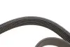 Фото Ремінь генератора Citroen Jumper/Peugeot Boxer 2.5D/TDI 94-02 AC /2.5D -95 (6PK915) HUTCHINSON (915K6) зображення 3