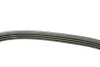 Фото Ремінь генератора BMW 3 (E46)/X3 (E83) 01-07 M47 D20/Fiat Stilo 1.6 16V 01-08 HUTCHINSON (917SK4) зображення 2
