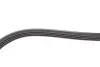 Фото Ремінь генератора Fiat Ducato/Peugeot Boxer 2.2JTD/HDi 06- (4PK922) HUTCHINSON (922SK4) зображення 3