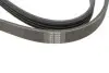 Фото Ремінь генератора Ford Transit 2.2TDCI (4PK925) HUTCHINSON (925K4) зображення 5
