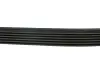 Фото Ремінь генератора Fiat Ducato 2.5/2.8 JTD 97-02 (6PK946) HUTCHINSON (946K6) зображення 3