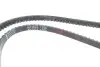 Фото Ремінь генератора Chrysler Voyager 2.5i 91-95/Renault 9/11 1.4 86-89 (10x1200) HUTCHINSON (AV 10 La 1200) зображення 3