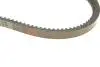 Фото Ремінь генератора Audi 80 1.3-1.8 78-87/BMW 3 (E30)/5 (E34) 2.0-2.5 87-95/VW Passat 1.6-1.8 80-88 HUTCHINSON (AV 13 La 825) зображення 4