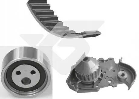 Комплект ГРМ + помпа Renault Kangoo/Megane I/Logan I 1.4/1.6 96- (17x96z) HUTCHINSON KH127WP29 Купити в Україні