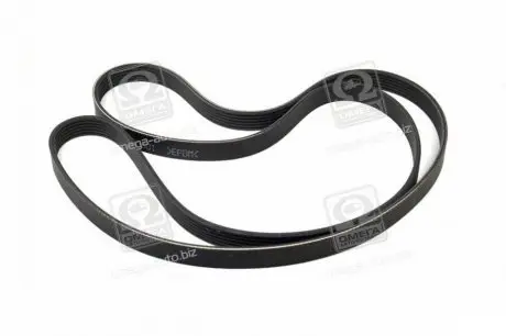 Ремінь генератора Hyundai Santa Fe/Kia Magentis 2.7 V6 05-/Lexus RC/GS 5.0 14-/MB (W202/W210) 93-02 Hyundai/Kia/Mobis 252123E001 Купити в Україні
