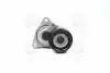 Фото Натяжник ременя генератора Hyundai Santa Fe/Kia Sportage 2.0/2.2 CRDi 01 Hyundai/Kia/Mobis (2528127401) зображення 1