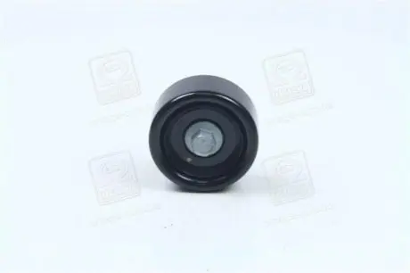 Ролик генератора Hyundai Santa Fe/Sonata/Kia Sorento II 2.0-2.4 05- (паразитний) (70x29) Hyundai/Kia/Mobis 2528725010 Купити в Україні