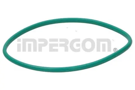 Прокладка насосу паливного Renault Kangoo 1.5 dCi 08-/Master 2.5 dCi 06- IMPERGOM 25200 Купити в Україні