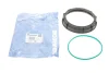Крышка насоса топливного Renault Megane/Laguna 1.5-2.0 02-08 (+ кольцо)) IMPERGOM (25202) изображение 1