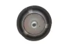 Подушка двигуна (R) Citroen Berlingo/Peugeot Partner 1.6 16V/1.6HDI 00 IMPERGOM (36307) зображення 3