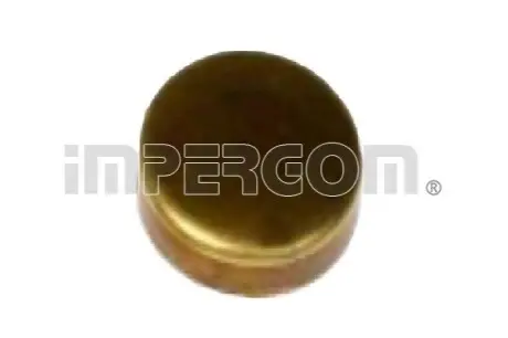Заглушка блока цилиндров (d=12mm) Латунь/Brass IMPERGOM 40941