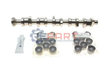 Распределительный вал VW T5 2.5 TDI 03-09, 96/120/128kw, (BNZ,AXD,BPC,AXE,BLJ) INA 428004030 Купить в Украине