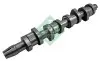 Фото Розподільчий вал (сталь) AUDI A3, A4 B7 SEAT ALHAMBRA, ALTEA, ALTEA XL, CORDOBA, IBIZA III, IBIZA IV, IBIZA IV SC, LEON, TOLEDO III SKODA FABIA II, OCTAVIA II, ROOMSTER 1.9D/2.0D 03.00-05.11 INA (428015910) зображення 8