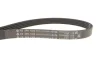 Комплект ременя генератора Renault Clio/Kangoo/Megane/Scenic 1.4/1.6 16V/1.5 dCi 00- INA (529 0015 21) зображення 9