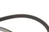 Комплект ременя генератора Renault Clio/Kangoo/Megane/Scenic 1.4/1.6 16V/1.5 dCi 00- INA (529 0015 21) зображення 10