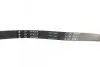 Комплект ременя генератора Renault Kangoo 1.2 97- (4PK 928) INA (529010010) зображення 2