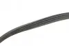 Комплект ременя генератора Renault Kangoo 1.2 97- (4PK 928) INA (529010010) зображення 3