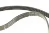 Комплект поликлинових ременів (з роликами) RENAULT CLIO I, CLIO II, KANGOO, KANGOO EXPRESS, TWINGO I 1.2/1.2LPG 01.96 INA (529017210) зображення 3