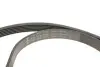 Фото Комплект поликлинових ременів (з роликами) OPEL ASTRA H, ASTRA H GTC, ZAFIRA B 1.9D 04.04-04.15 INA (529 0190 10) зображення 4